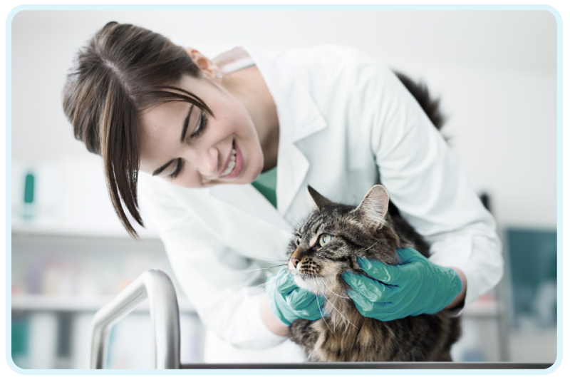 //www.veterinarioadomicilioroma.it/wp-content/uploads/2018/02/dottoressa2.png