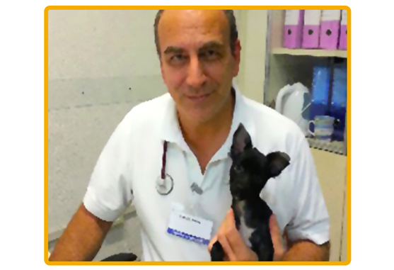 //www.veterinarioadomicilioroma.it/wp-content/uploads/2018/03/Sandro.jpg