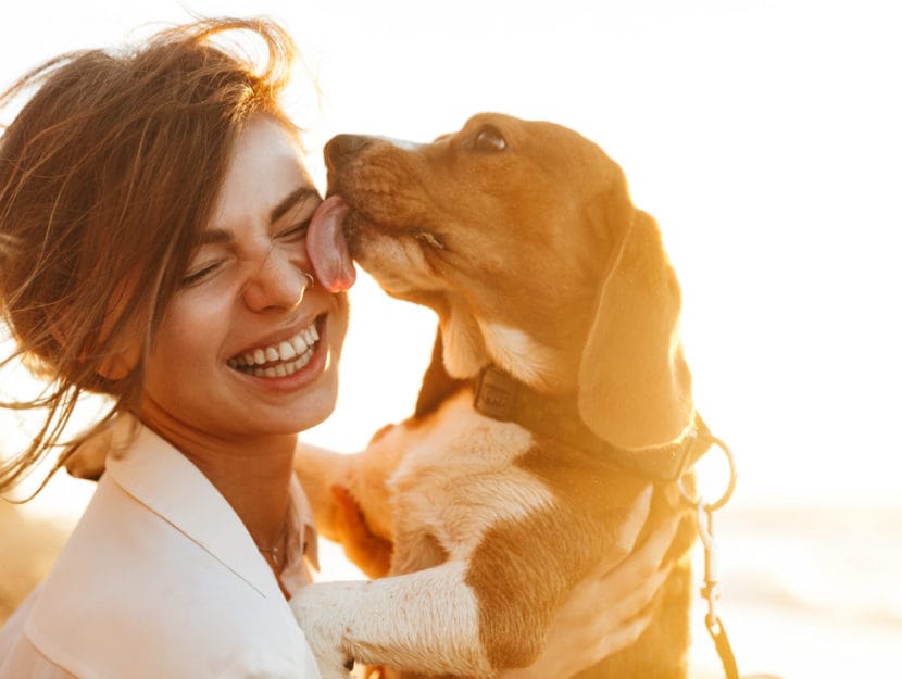 Cane, articolo sul benessere e la qualità della vita